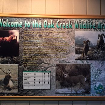 Elk Feeding Station - Ranches Near Me - Naches, Washington Elk Feeding Station - Ranches Near Me - Naches, Washington