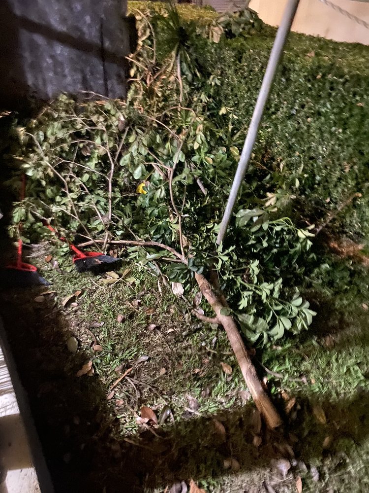 FILAM ENTERPRISES Updated October 2024 2141 Kaumualii St, Honolulu, Hawaii Pest Control