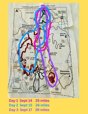 Bar Harbor Bicycle Shop by null