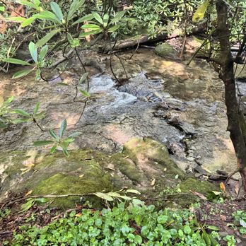 Raven Cliffs Trailhead - Hiking Near Me - Helen, Georgia