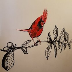 Birds of Indiana murals - The state bird can be found in the hallway leading to the seating area
