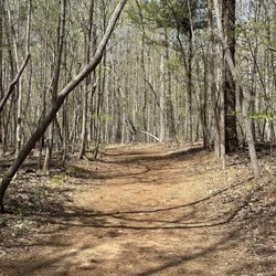 Eno River State Park - Hiking