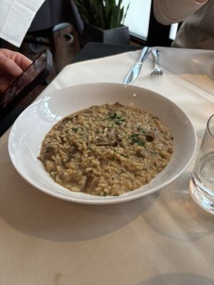 Trattoria Gallo Nero by null
