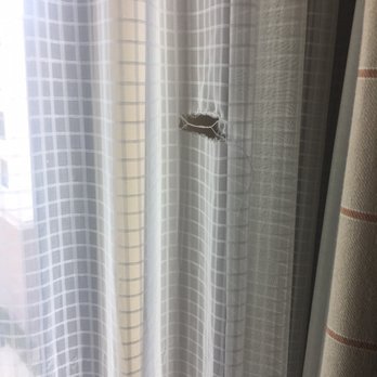 Sheraton Stonebriar Hotel - More Holes in Curtains - Hotels Near Me - Frisco, Texas