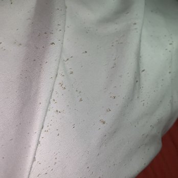 Shampoo JC - Our pillowcase at the moment - Hair Salons Near Me - Jersey City, New Jersey Shampoo JC - Our pillowcase at the moment - Hair Salons Near Me - Jersey City, New Jersey