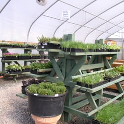 Madras Garden Depot - A full house