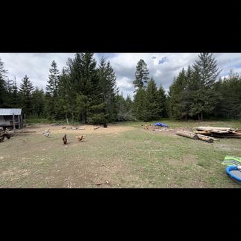 Backyard Potential - View at beginning of job - Excavation Services Near Me