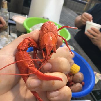 Crawdad Hole - Cajun/Creole Near Me - Jackson, Mississippi