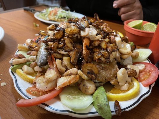 Tijuana Restaurant by null