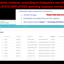 Delaware Family Court - Here, the Family Court Judicial spent over $2k at a Hawaiian bar and then another almost 2 grand at the Starboard. Good for them!