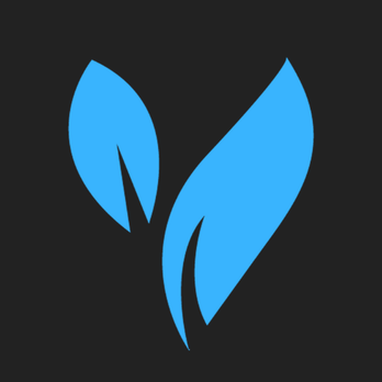 BlueVine Digital Marketing Solutions - Marketing Near Me BlueVine Digital Marketing Solutions - Marketing Near Me