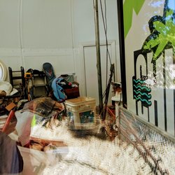 Lemon House - Interior