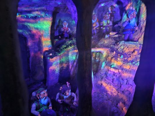 Enchanted Forest by null