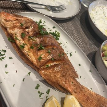 Olive Tree By Chef Yousef - Fried whole red snapper - Middle Eastern Near Me - Tampa, Florida