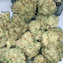 Scooters and Hooters - Check out our buds!~ We serve fire all day every day, 8ths starting at just $15!