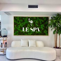 Le Spa Plastic Surgery