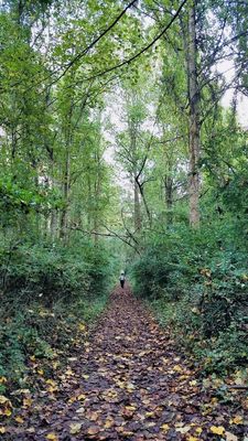 Brandywine Creek State Park by null