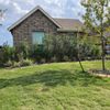 Manuel Tree Services & Landscaping gift card