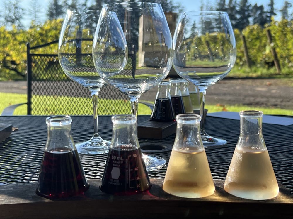 HAMACHER WINES Updated August 2024 34 Photos & 21 Reviews 14665