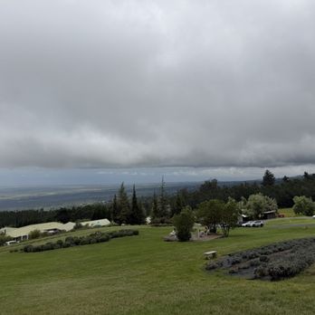 Ali'i Kula Lavender - Tours Near Me - Kula, Hawaii Ali'i Kula Lavender - Tours Near Me - Kula, Hawaii