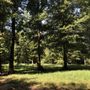 Photo of Southern Community Dog Park