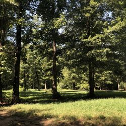 Southern Community Dog Park
