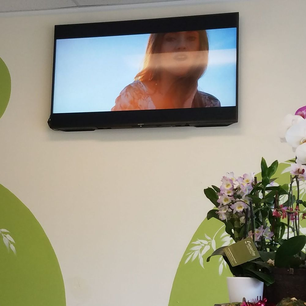 BAMBU - Watch videos while I wait... - Bubble Tea Near Me - Edmonds, Washington