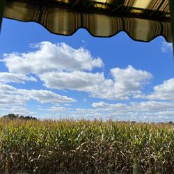 Irons Mill Farmstead - View from the tractor ride