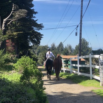 Ciara West Equestrian - Small trails around the property - Horse Boarding Near Me - Woodside, California