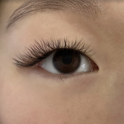 Amazing Lash Studio St Peters