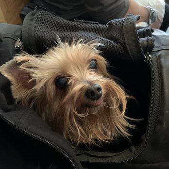 Causwells - Dog friendly (ok inside depending on size) - New American Near Me - San Francisco, California
