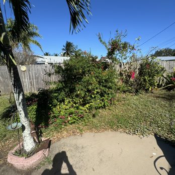 RMD FL Services - Tree Services Near Me