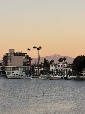 Grill 'Em All by null