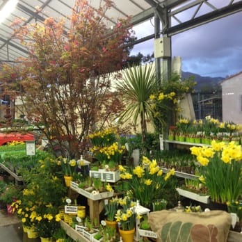 Truffaut - Nurseries & Gardening Near Me - Aubagne, 13