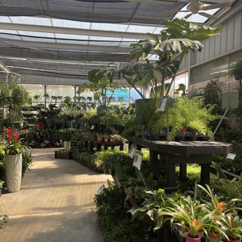 Louisiana Nursery - Nurseries & Gardening Near Me - Baton Rouge, Louisiana