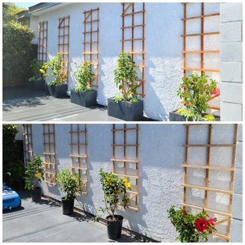 Jesus Lawn Maintenance - Installed wood trellis and plants on pots for a nice accent on the wall. - Lawn Services Near Me - Bellflower, California Jesus Lawn Maintenance - Installed wood trellis and plants on pots for a nice accent on the wall. - Lawn Services Near Me - Bellflower, California