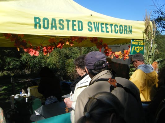 Wellfleet OysterFest by null