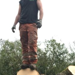 Woods Tree Specialists
