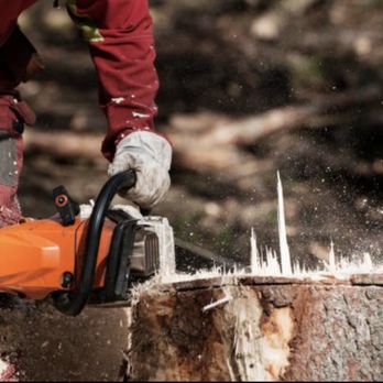 Adam’s Tree Service - Adam's Tree Service - Tree Services Near Me - Natick, Massachusetts