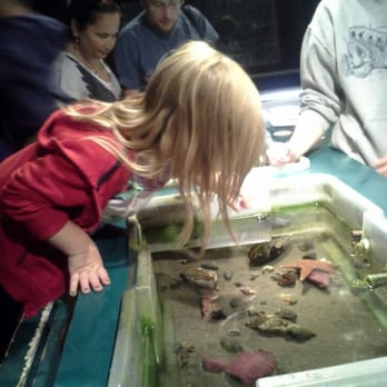 Seaside Aquarium - Petting area - Aquariums Near Me - Seaside, Oregon Seaside Aquarium - Petting area - Aquariums Near Me - Seaside, Oregon