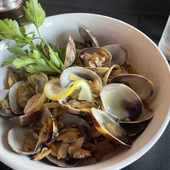 Sea Mario - Linguine con Vongole - Italian Near Me - Pompano Beach, Florida Sea Mario - Linguine con Vongole - Italian Near Me - Pompano Beach, Florida