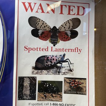 Black River Welcome Center - Wanted Spotted Lanternfly - Rest Stops Near Me - Griffin, Indiana Black River Welcome Center - Wanted Spotted Lanternfly - Rest Stops Near Me - Griffin, Indiana
