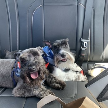 PetSmart - Pet Stores Near Me - KAPOLEI, Hawaii PetSmart - Pet Stores Near Me - KAPOLEI, Hawaii