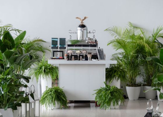 La Vela Coffee Roasters and Catering by null