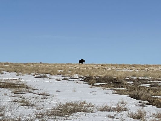 Rocky Mountain Arsenal National Wildlife Refuge by null