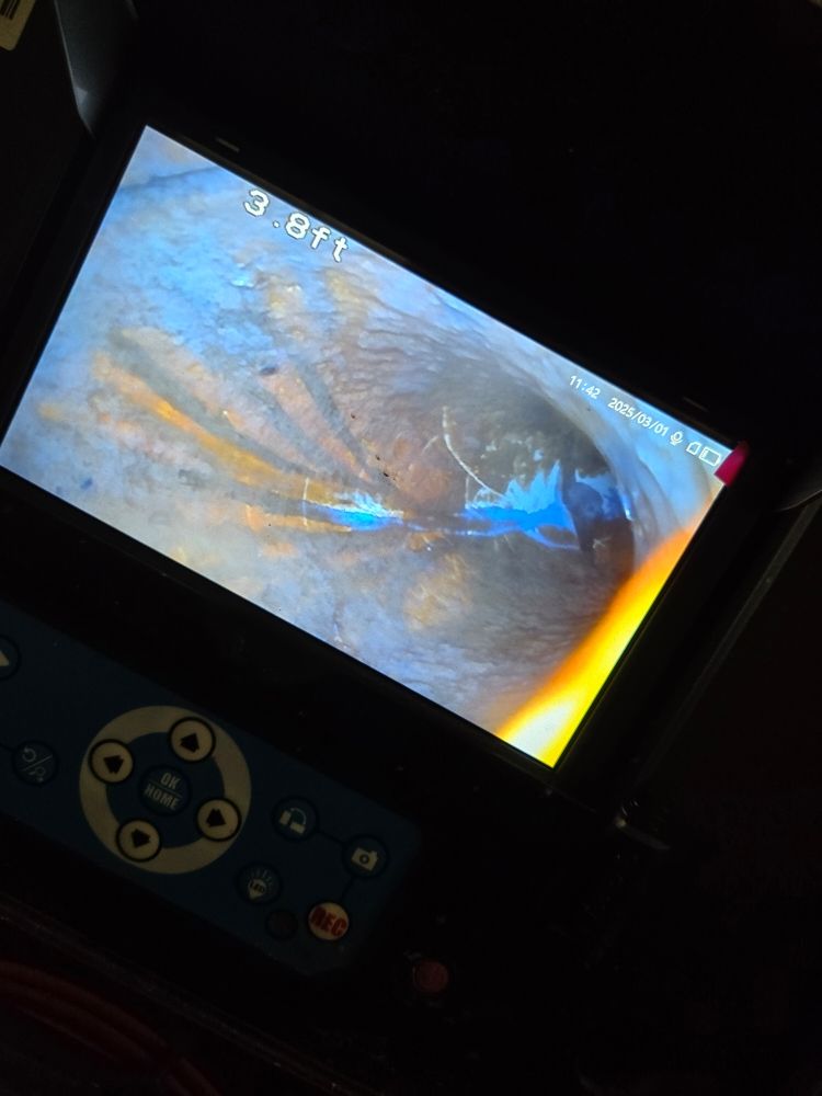 Slide of Helpmehelpyou