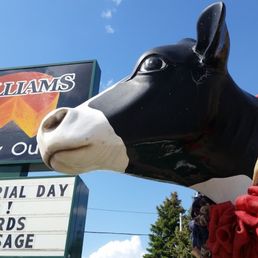 a black horse with a red ribbon around its neck a black horse with a red ribbon around its neck