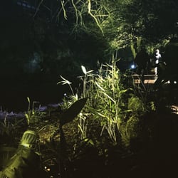 Electric Glen
