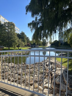 Texas Sculpture Garden by null