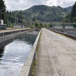 Mad River Fish Hatchery